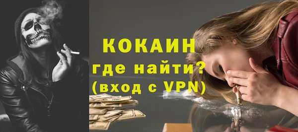стаф Арсеньев