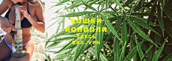 шишки Армянск