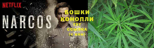 шишки Армянск