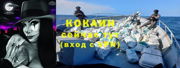 стаф Арсеньев