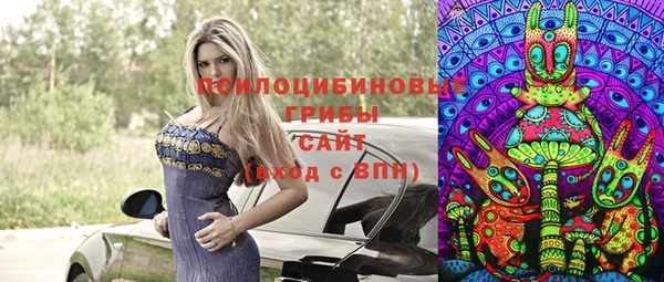 шишки Армянск